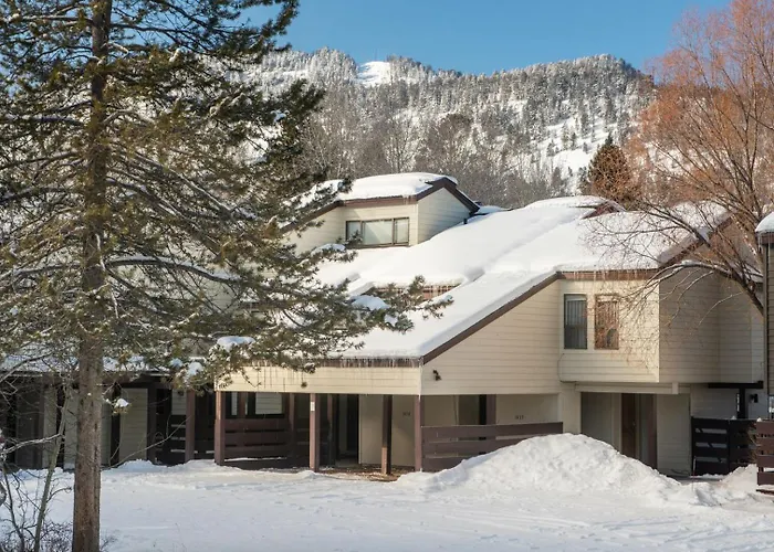 Rmr: Cinquefoil 1614 In The Aspenswilsonwy Wilson